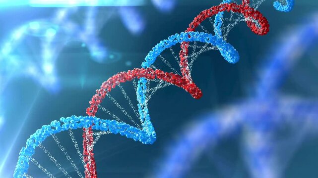 3D animation of a red and blue DNA double helix strand spinning and replicating on a blurred scientific background