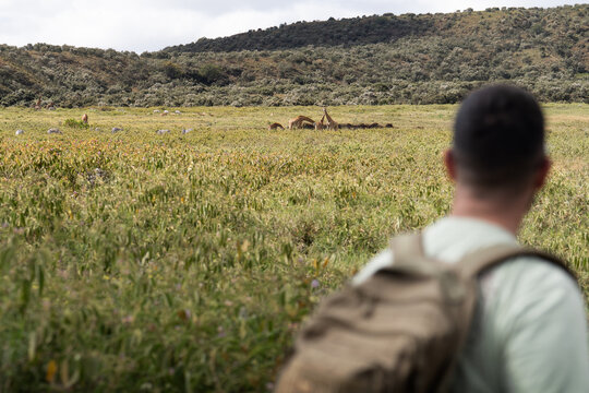 Safari traveler watching wildlife across African grassland