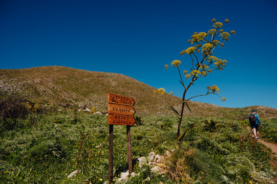Man hiking on a sunny trail in the countryside