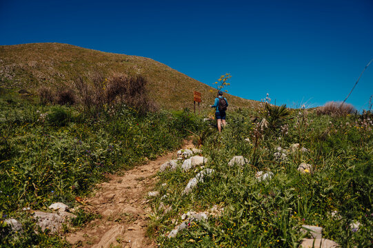 Man hiking up a sunny green hillside trail in Zingaro