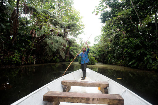 Senior Guarani man oaring in canoe at Napo River, Ecuador