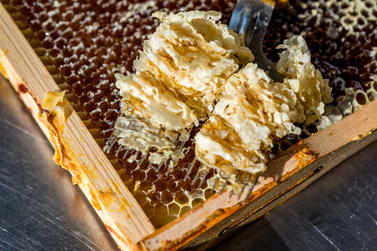 Close-up of uncapping honeycomb with a fork during honey production