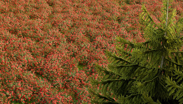 Aerial view of a red forest and green tree outdoors