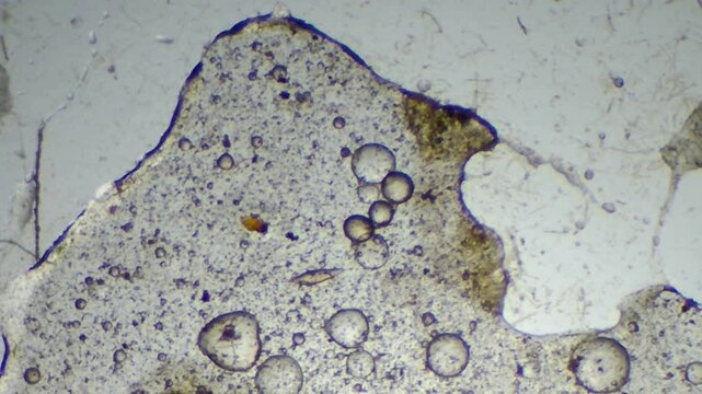Microscopic view of contaminated ISO VG 46 oil boundary with clustered water droplets

