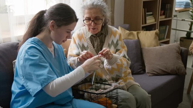 Senior woman teaching young female nurse in scrubs how to knit while sitting on sofa in retirement home. Perfect for senior care services and assisted living marketing campaigns