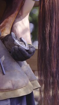 Removing horseshoe from hoof close up