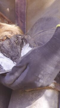 Trimming frog and sole of hoof close up
