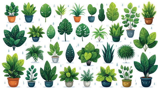 Variety of Potted Houseplants and Succulents.
