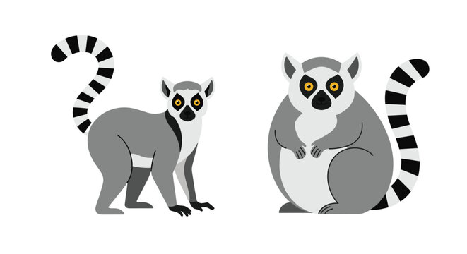 Two cute ring-tailed lemurs with characteristic long striped tails and wide eyes standing side by side against a clean white background scene.