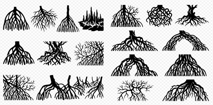 Set of Tree Roots Silhouettes Isolated on Transparent Background, Hand Drawn Vector Illustration of Plant Underground Structures.