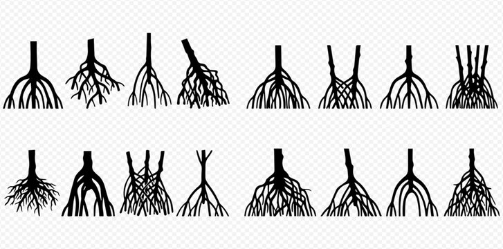 Set of various plant roots silhouettes, different shapes and forms of underground plant structures.