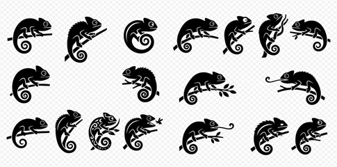 Obraz premium Set of black chameleon silhouettes on branches, various poses and styles, isolated on a transparent background.