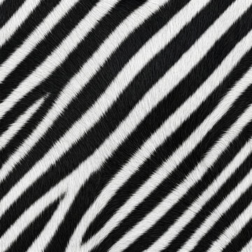 Zebra stripe pattern background abstract animal fur texture