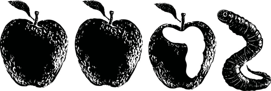 sequential transformation of an apple into a worm illustrated in black and white vintage