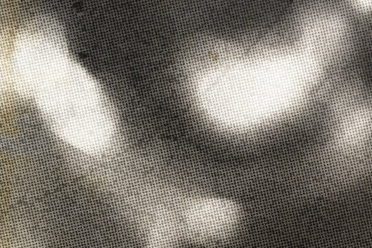 halftone monochrome abstract texture with blurred forest silhouettes, retro newspaper print effect, grainy graphic overlay