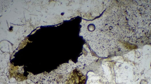 Microscopic view of a large solid rust contaminant mass in contaminated ISO VG 46 oil

