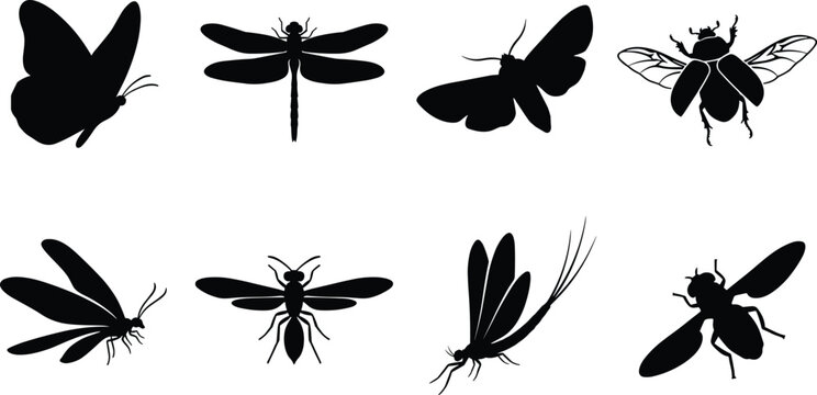 Black Insect Silhouette Vector Collection with Butterflies, Dragonflies, Beetles, and Moths