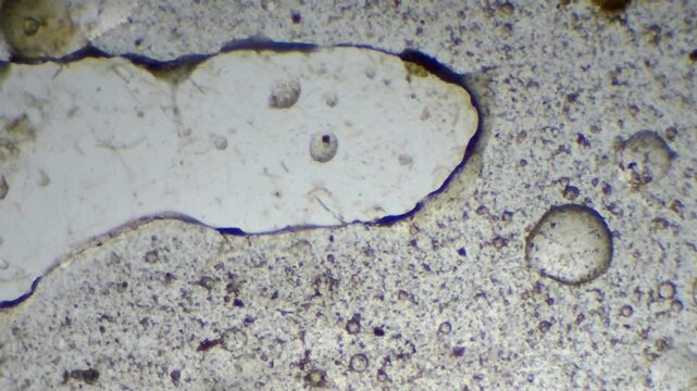 Microscopic view of phase separation and large water pocket in contaminated ISO VG 46 oil

