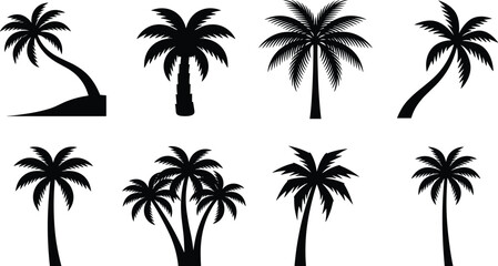 Obraz premium Black Silhouette Vector Set of Palm Trees with Curved and Straight Trunks for Tropical Designs