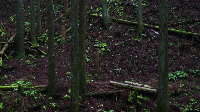 Section Between the 44th and 43rd Stone Markers on the Koyasan Choishimichi Pilgrimage Trail, Koya Town, Wakayama, Japan　「高野参詣道 町石道44町石・43町石区間」和歌山県高野町