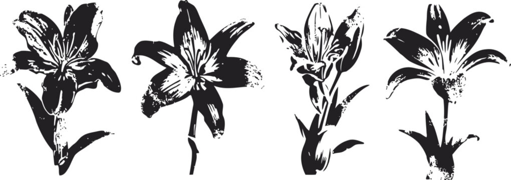 black and white lily flower silhouettes four different floral designs with petals and stamens elegant botanical vector shapes