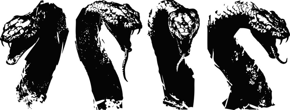 detailed black and white illustrations of king cobra heads in various striking poses