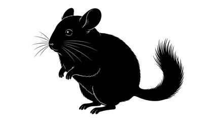 Black Chinchilla Silhouette: A stylized black silhouette of a chinchilla, showcasing its distinctive features including large ears, bushy tail, and upright posture. © mahmuda428