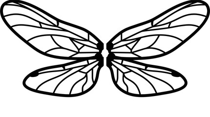 Fototapeta premium Detailed illustration of butterfly wings.