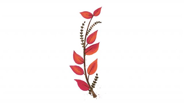 Watercolor floral with red autumn foliage and delicate vines, suitable for fall themed designs, festive invitations, stationery, and seasonal decorations.