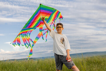 little boy flies a kite in the countryside in the summer © Tina kids photo