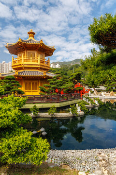 Japanese garden in Hong Kong