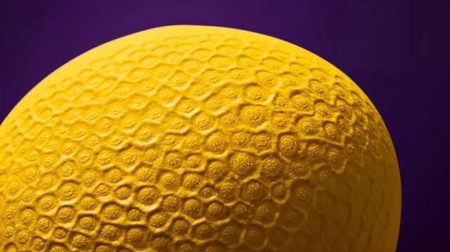 Yellow textured ball with a dimpled surface gradually shifts in perspective against a purple background, showcasing its intricate pattern and vibrant color