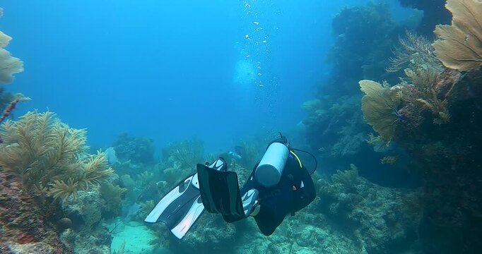 Scuba diver exploring vibrant coral reef in Caribbean waters of Mexico
