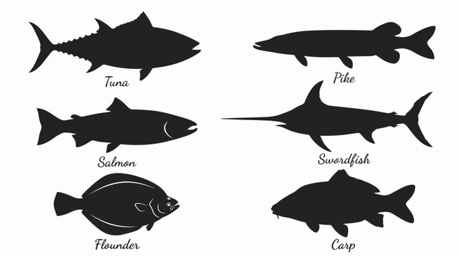 Collection of common fish species silhouettes including tuna, salmon, pike, swordfish, flounder, carp with text names, illustrating seafood menu design, representing marine life identification