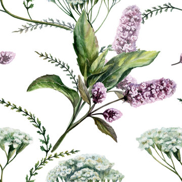 Mint and yarrow mix seamless pattern watercolor illustration. Botanical herbs blend for refreshing dental care pharmacy branding, antiinflammatory cosmetics packaging, tonic medical tea print