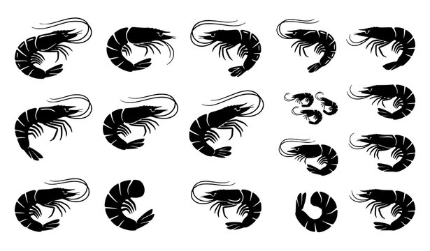 Prawn silhouette bundle isolated set with shrimp seafood marine crustacean symbols in black vector design