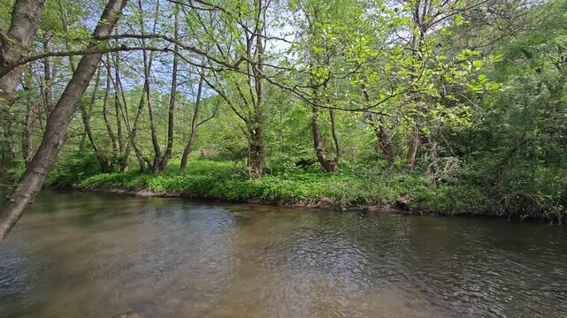 Spring Landscape of Iskar river near Pancharevo lake, Sofia city Region, Bulgaria