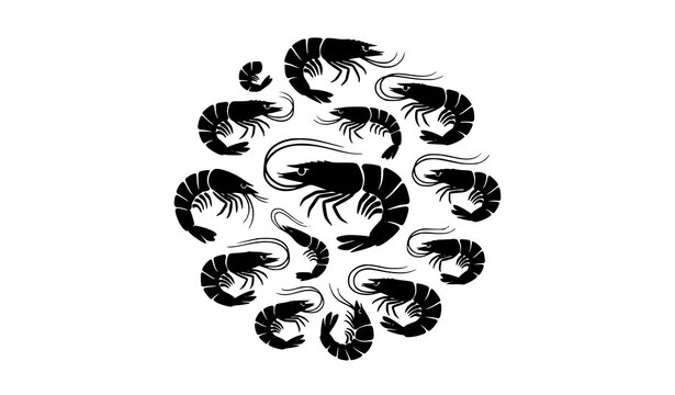 Black prawn silhouette collection featuring shrimp seafood crustaceans and marine life symbols in minimalist vector style
