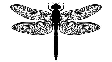Black dragonfly with spread wings silhouette. © Mr
