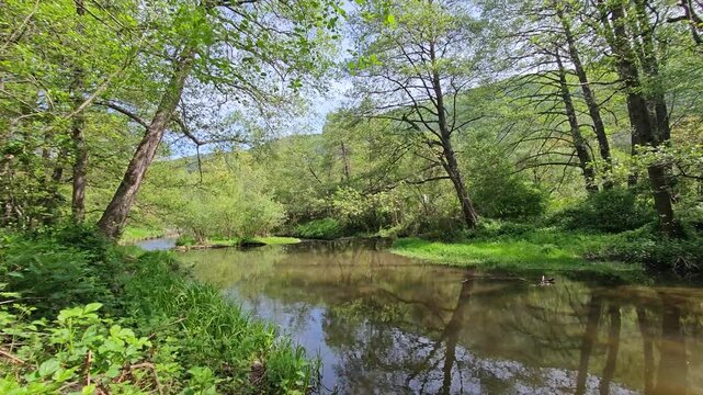 Spring Landscape of Iskar river near Pancharevo lake, Sofia city Region, Bulgaria