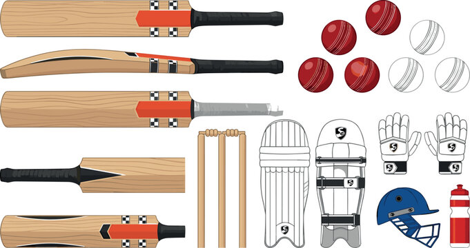 Vector professional cricket gear illustration kit featuring realistic wooden bats red and white leather balls wickets pads gloves helmet and bottle