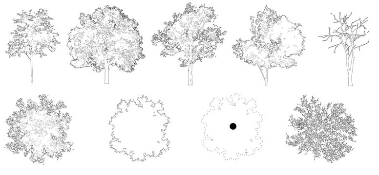Pack of trees in elevation view for use in architectural drawings isolated on transparent background	