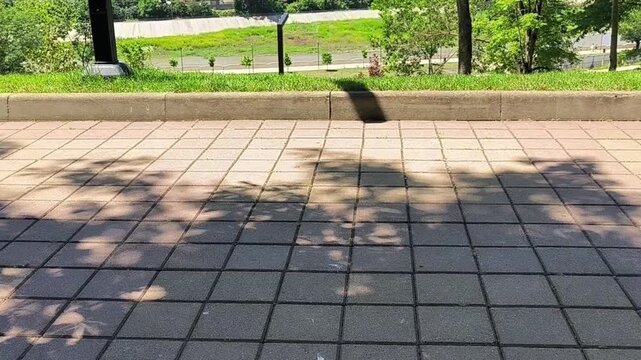 Serene Summer Stroll on a Sun-Dappled Promenade - Urban Pavement Texture Background