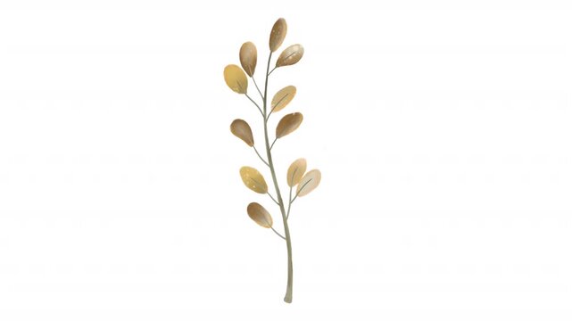 Watercolor floral design with a golden brown autumn botanical branch, suitable for fall themed stationery, greeting cards, and wedding invitations.