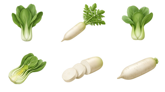 Fresh bok choy and daikon radish vegetables isolated on black background
