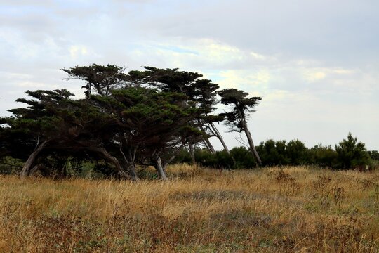 paysage bord de l' oc&eacute;an