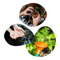 Naklejka premium Gardening png badge elements, transparent background