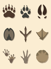 Fototapeta premium Collection of diverse animal paw prints and tracks, showcasing various wildlife footprints for identification
