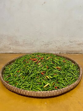 fresh green bird's eye chili pappers on traditional woven bamboo tray