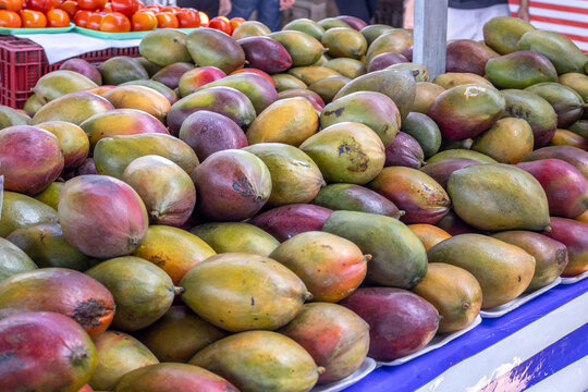 Fresh Tropical Mango Pile at Local Farmers Market with Organic Textures